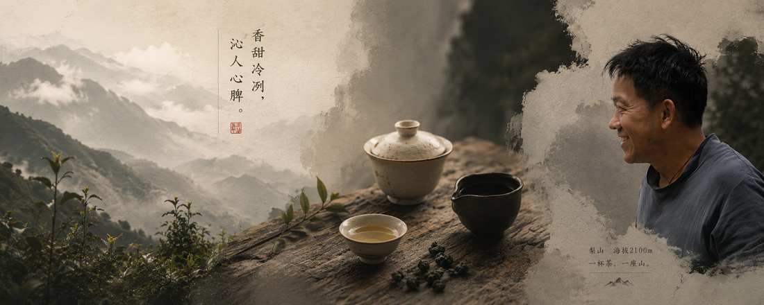 在清境，我重新喝懂了乌龙茶