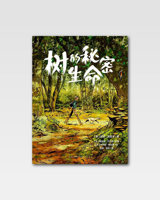 树的秘密生命
