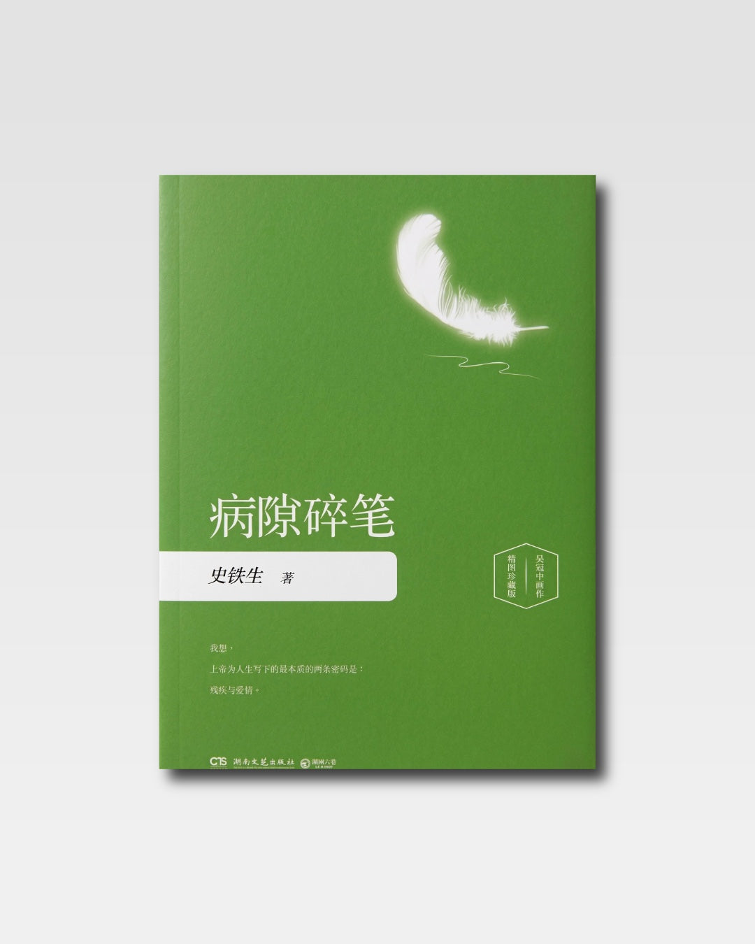 病隙碎笔 吴冠中插图珍藏版