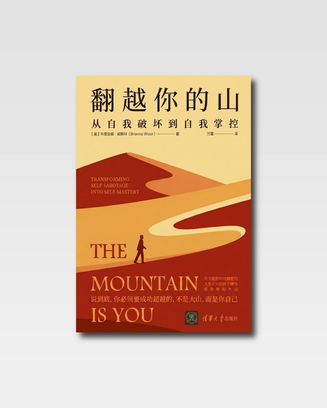 翻越你的山：从自我破坏到自我掌控